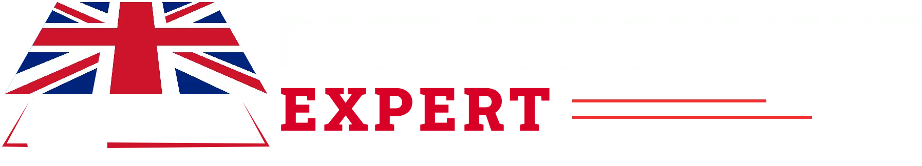 best assignment expert logo